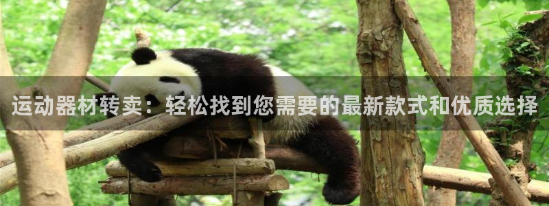 意昂体育5(KGAME)平台APP:运动器材转卖:轻松找到您